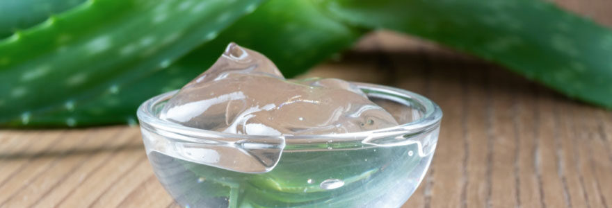 gel d'aloe vera